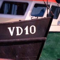 10 Volendam